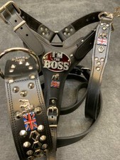 REAL LEATHER BULLDOG  HARNESS