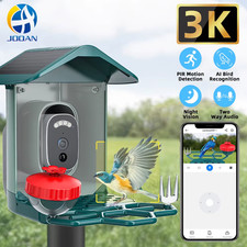 3K HD Birds Feed Camera with