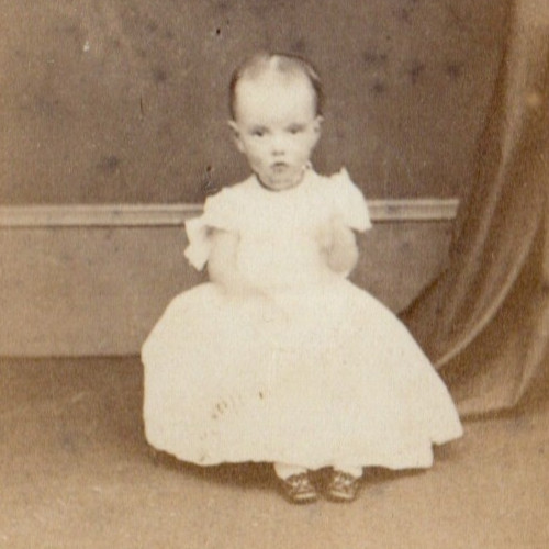Sudbury suffolk copsey cdv - sudbury, by