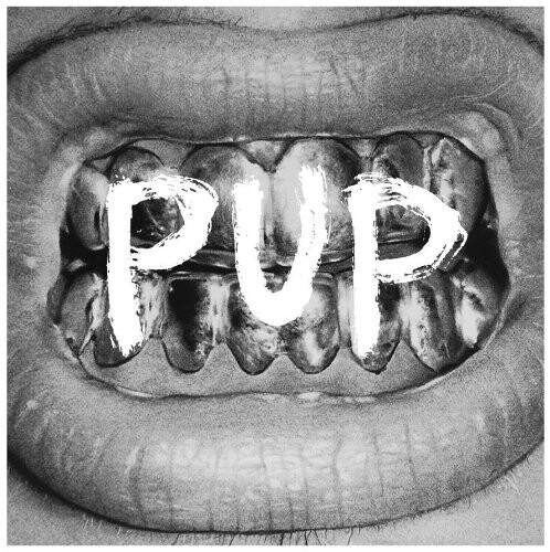 Pup vinyl album - pup, 12"