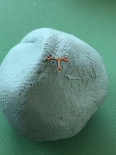 Lanco 56 Pallet X 1 Swiss Made Old New Stock Free Post