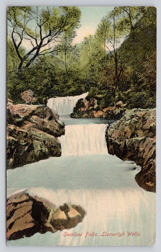 Swallow falls llanwrtyd - swallow,