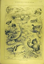 Original Old Antique Print