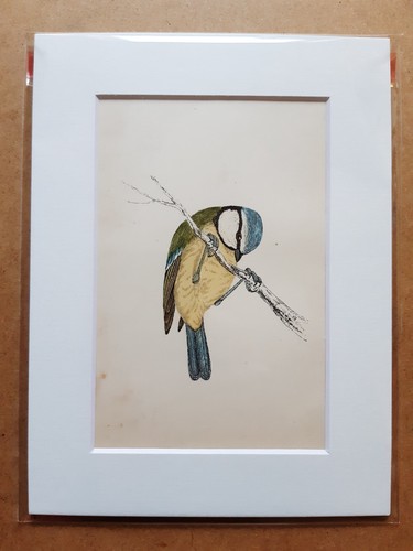 Antique print hand coloured - antique, print: