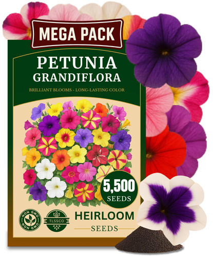 5500 petunia seeds mixed - -,