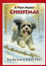 Tibetan Terrier Dog Christmas