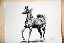 Horse by Willa M. Frayser