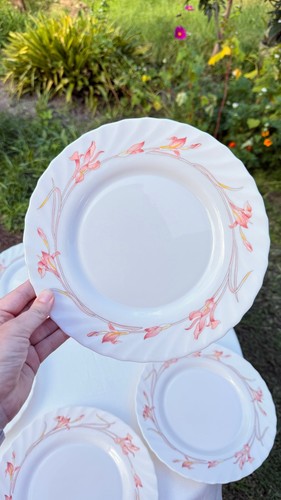 Vintage arcopal france dinner - arcopal,
