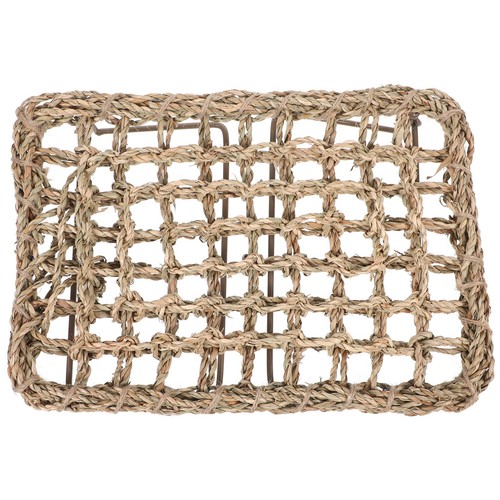 Lizard lounger bed reptile - lounger,