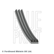 AD03R763 BLUE PRINT V-Ribbed