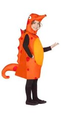 Girls Boys Orange Seahorse Fancy Dress Costume Sea Horse Festival Age 3-4