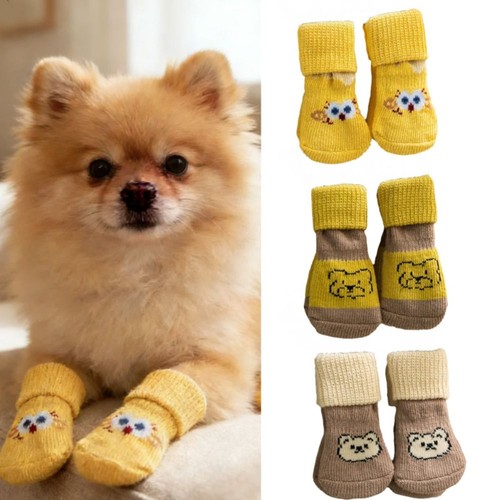 4pcs set dog - dog, socks