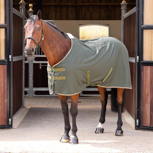 Shires tempest original stable - tempest,