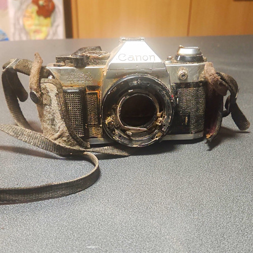 Canon program vintage - canon, ae-1