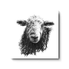 David Pooley Artist Keep