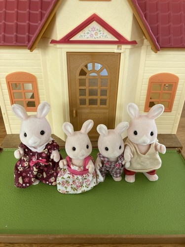 Sylvanian families champagne - families,