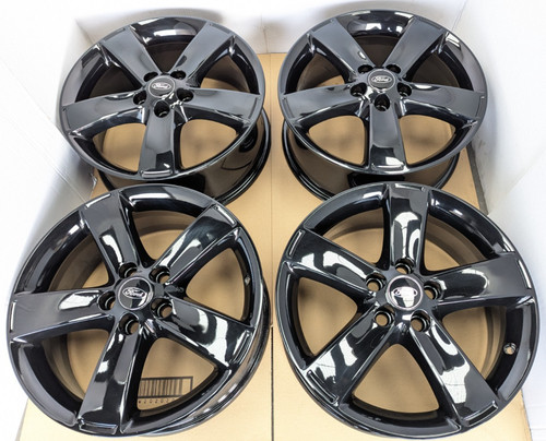4xgloss black genuine ford - genuine,