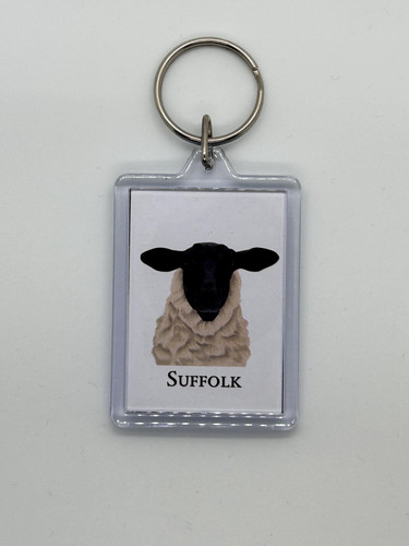 Suffolk sheep acrylic - suffolk,
