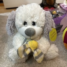 Card Factory White Teddy Bear