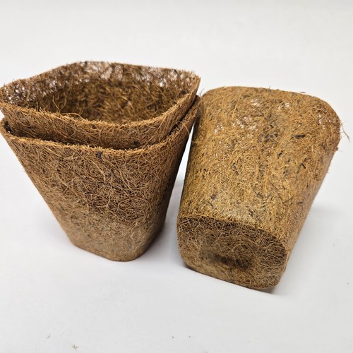 Lot 200 coir 3 - 200, 3.5"