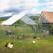 Large Metal Walk-In Chicken