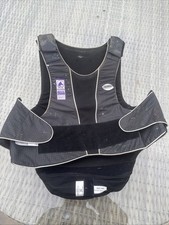 Large Adult Champion Body