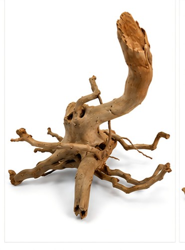 Natural spider wood driftwood - spider,