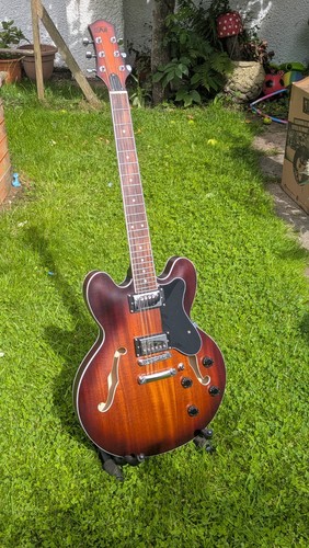 Eart 335 guitar semi - e,