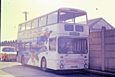35mm BUS SLIDE  SELNEC YNA 309M DAIMLER FLEETLINE CRG6LXB / NORTHEN COUNTIES