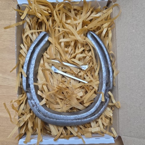 Genuine used lucky - genuine, horseshoe