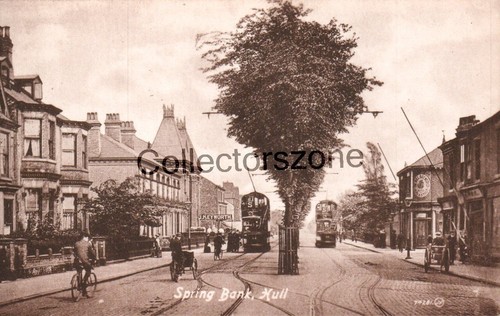 Hull spring bank - spring, printed