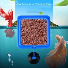 Fish tank feeding ring - fish,