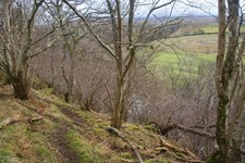 Photo A1 Path above the South Tyne Leadgate/NY7043 The path will very s c2014