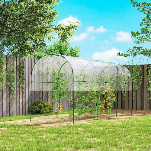 Tomato greenhouse with hoops - with,