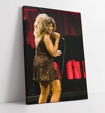 Tina turner singing iconic - turner,