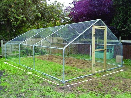 Walk chicken run - in,