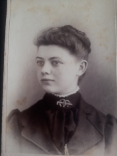 Cdv beautiful woman - cdv, horseshoe
