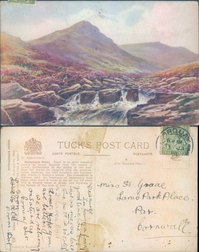 Scenic landscape devon - scenic,