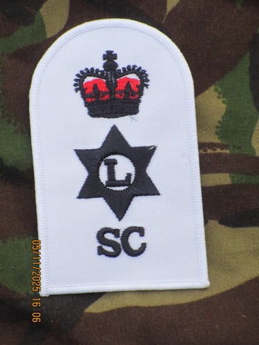 Royal navy badge qualification - royal,