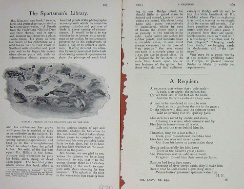 Original old antique print - antique,