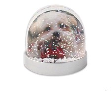 Snow glitter globe gift dual - globe,
