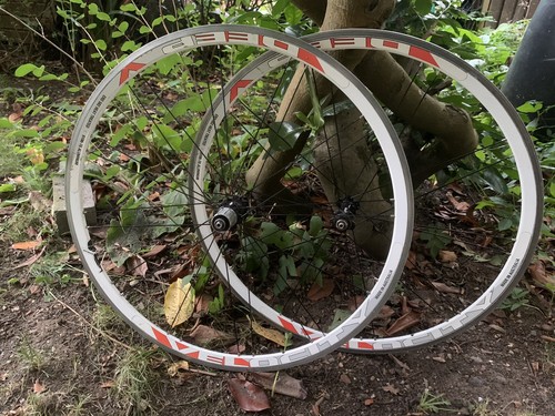Velocity deep handbuilt - velocity, v