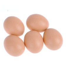 8 X CHICKEN EGGS Fake, Dummy