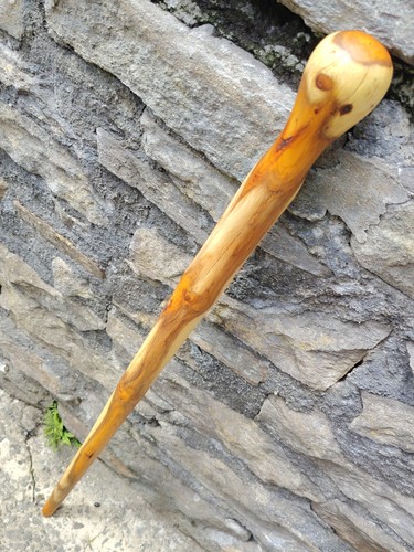 English yew shillelagh walking - yew,