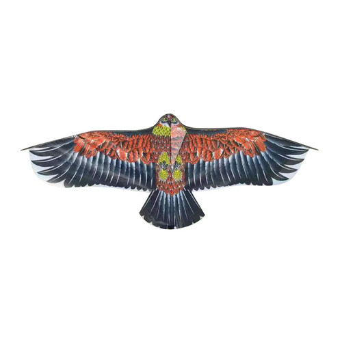 Eagle kite with 30 meter - with,
