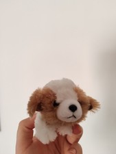 Russ Petooties Pets Shih Tzu