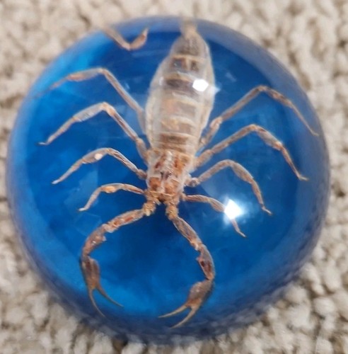 Vintage resin scorpion - vintage,