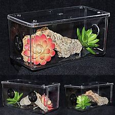 Tarantula/Spider/Stick