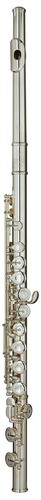 Trevor james privilege flute - james,