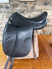 Harry Dabbs dressage Avant